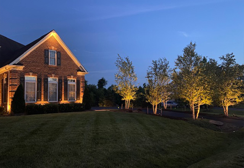 nice house and trees outdoor lighting