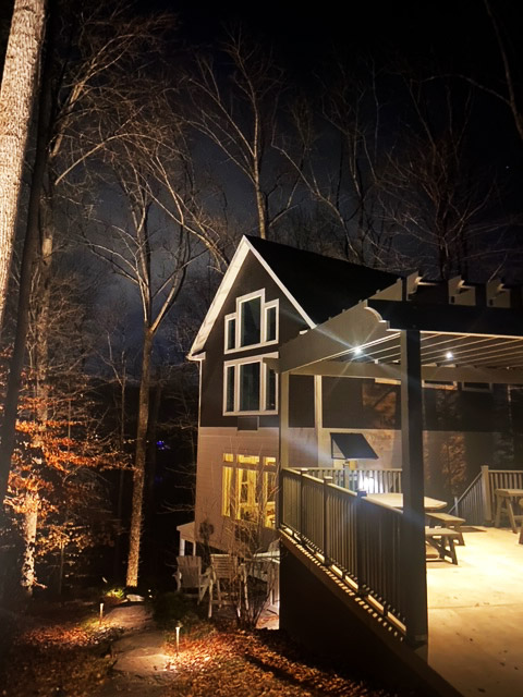 trees, house, lighting outdoor at night