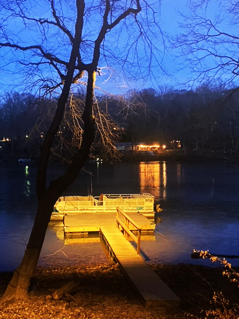lake, light, forest and outdoor lighting at night