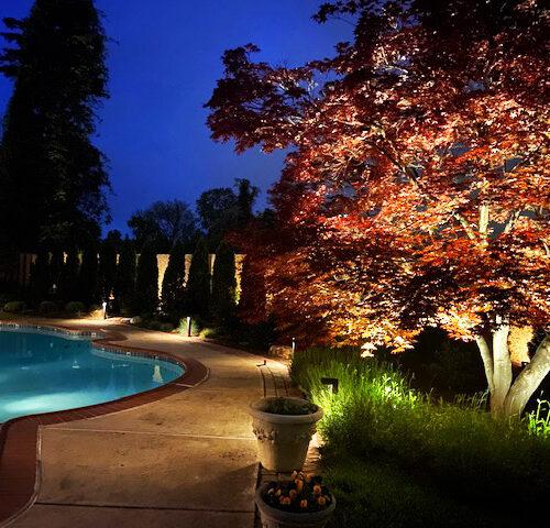 color tree, pool, outdoor lighting design