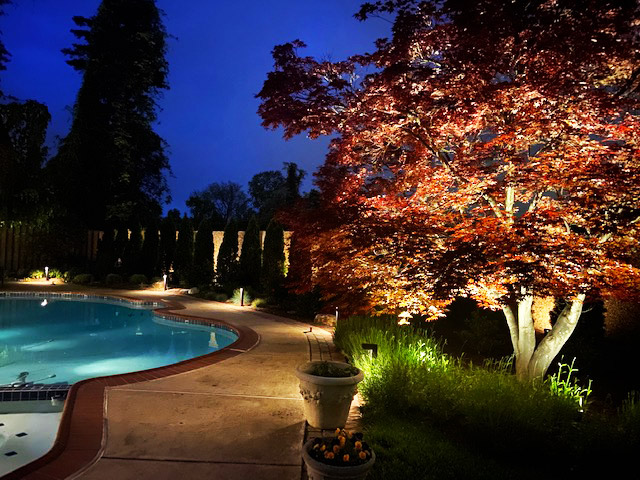 color tree, pool, outdoor lighting design